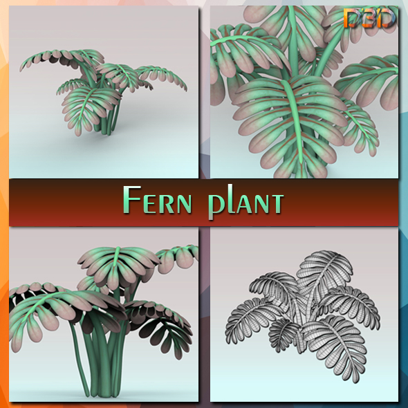 Fern plant - 3Docean 25691453