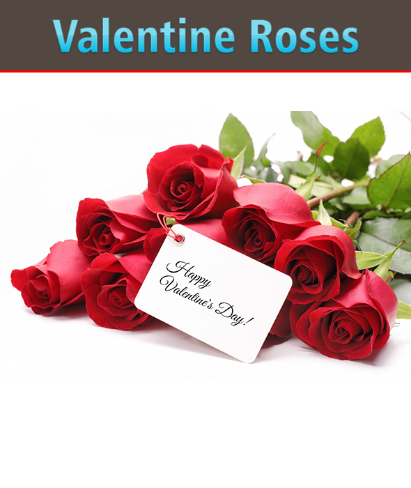 Valentine Red Rose - 3Docean 25698014