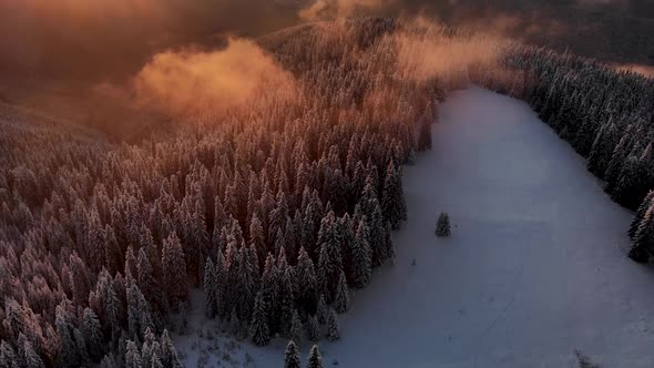 Aerial View Of Winter Forest in Mountain Valley at Sunset