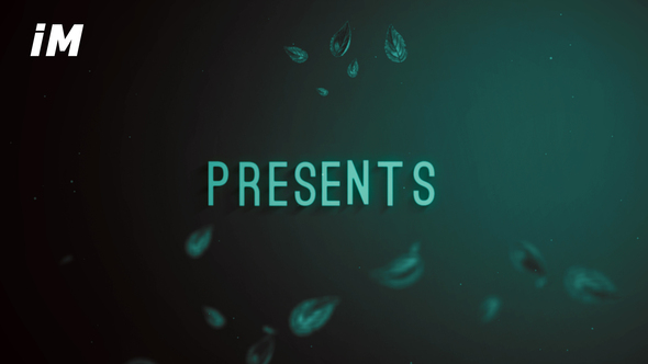 Silence Emotional - VideoHive 24687974