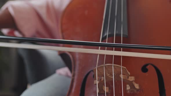 Cropped Musician Playing Double Bass alt