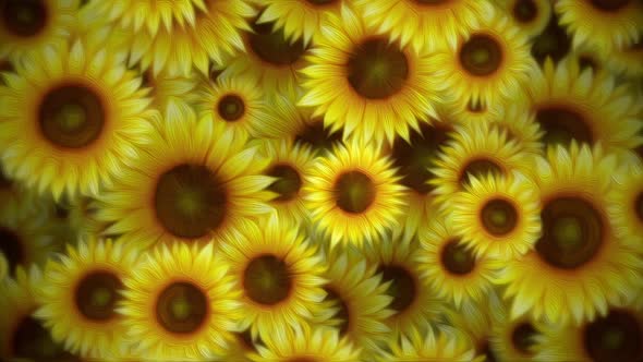 Sunflowers Oil Painting Floral Motion Background alt