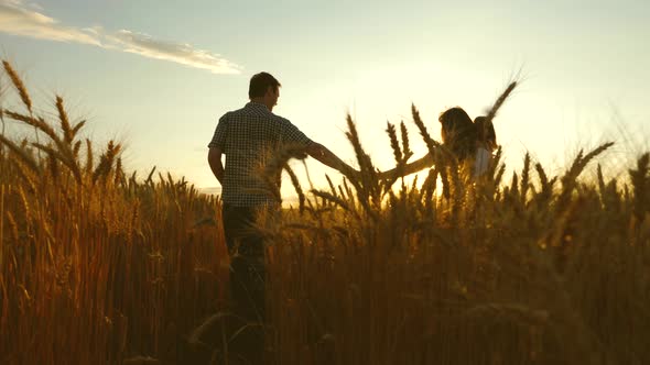 Mom Kid and Dad Holding Hands Are Walking on a Wheat Field. Father Daughter and Mother Are Playing alt