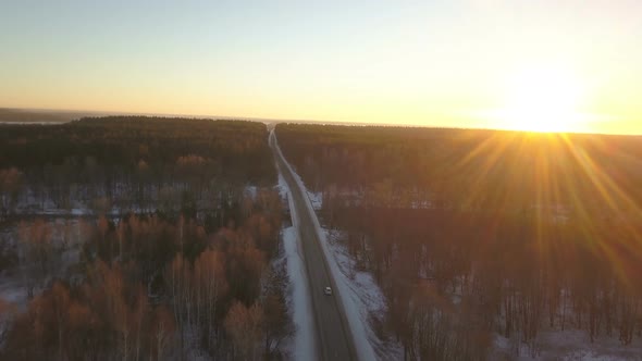 Winter Forest Road