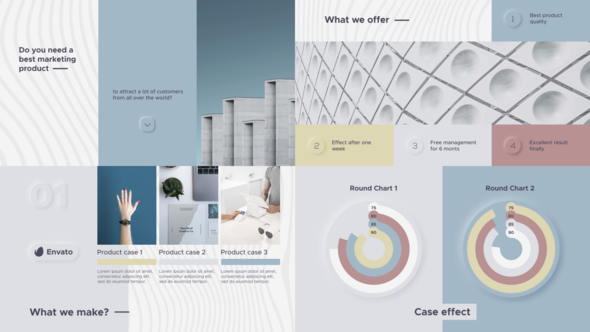 Corporate Infographic Presentation Promo