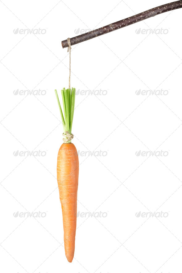 Carrot on a stick isolated on white