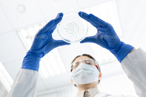 Medical Scientist With Cell Culture Dish