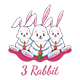 3 Rabbit Vectors, Vectors | GraphicRiver