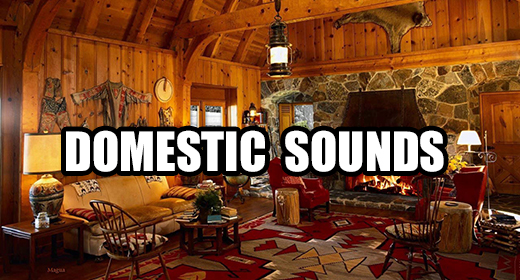 Domestic Sounds