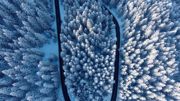 Curvy Windy Mountain Road In Snow Covered Forest alt