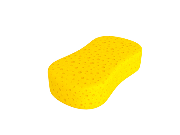 Sponge - 3Docean 25775856