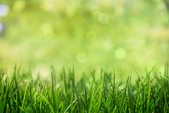 Green grass background Stock Photo by mblach | PhotoDune