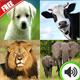 Animal Sounds Educational Learning Android App