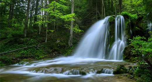 Water - River - Lake - Sea