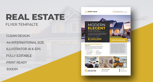 Real Estate Flyer