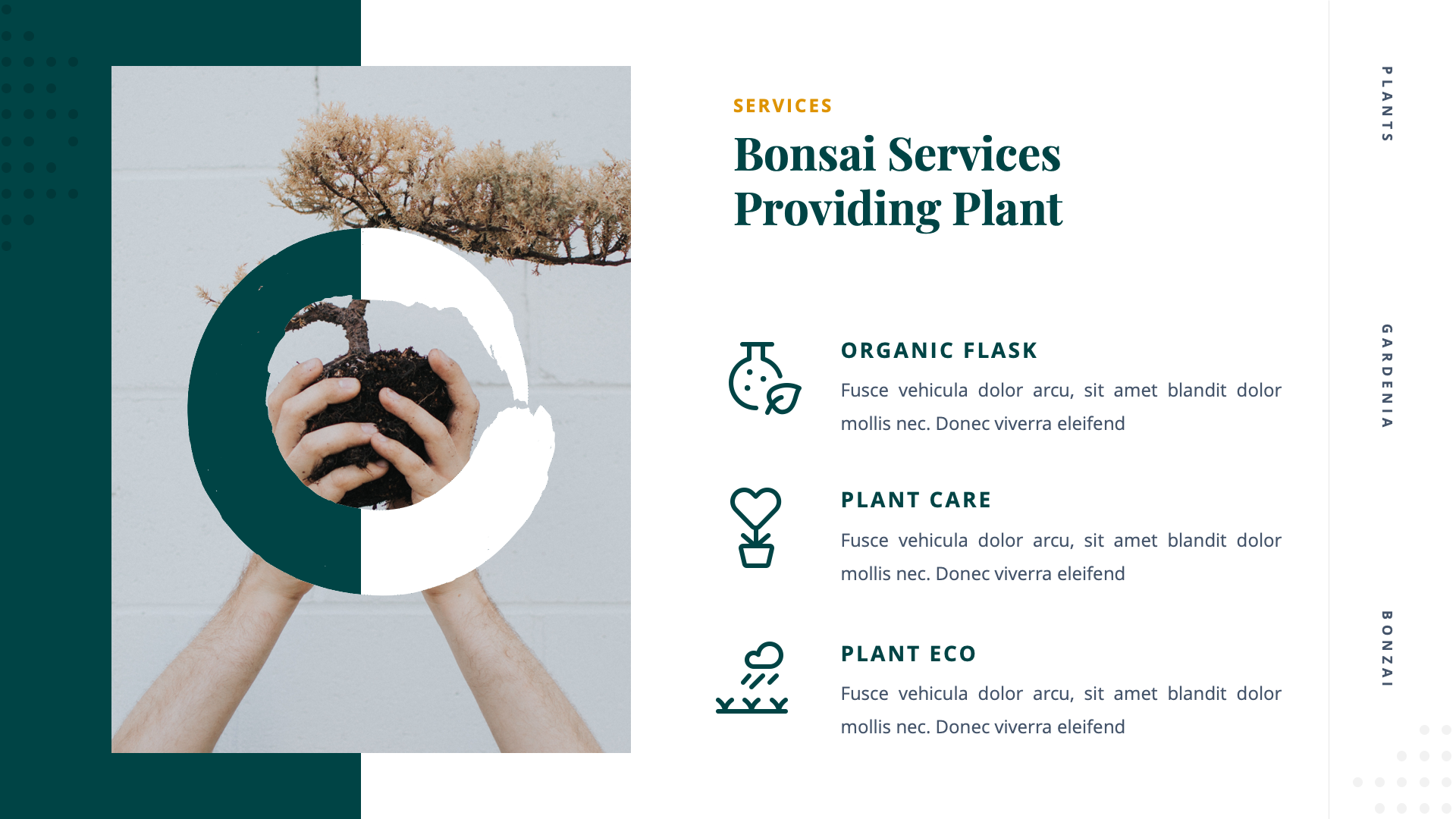 Varigata - Bonsai Tree & Garden Powerpoint Template, Presentation Templates