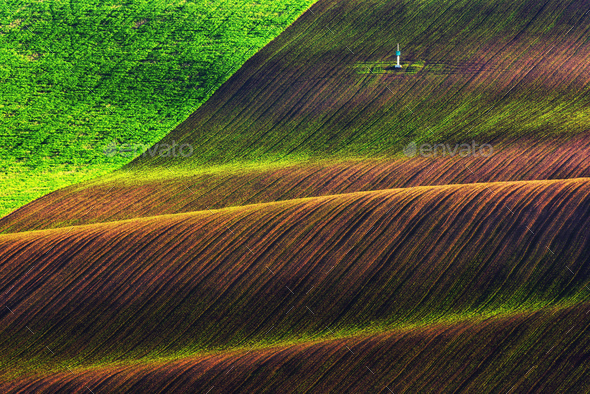 Green and brown waves of the agricultural fields - Stock Photo - Images