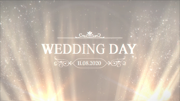 Wedding Moments - VideoHive 25795012