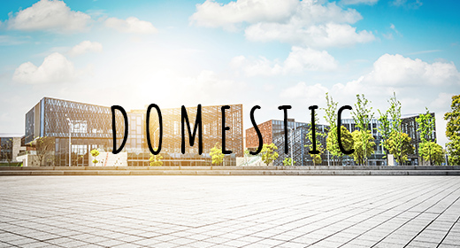 Domestic