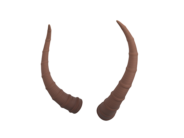 Antelope Horn - 3Docean 25842161
