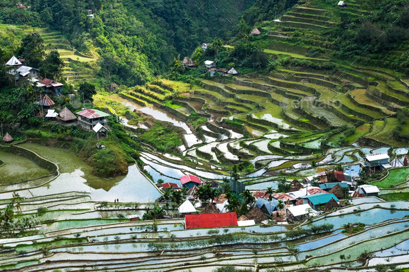 Village houses near rice terraces fields. Ifugao province. Banaue, Philippines - Stock Photo - Images