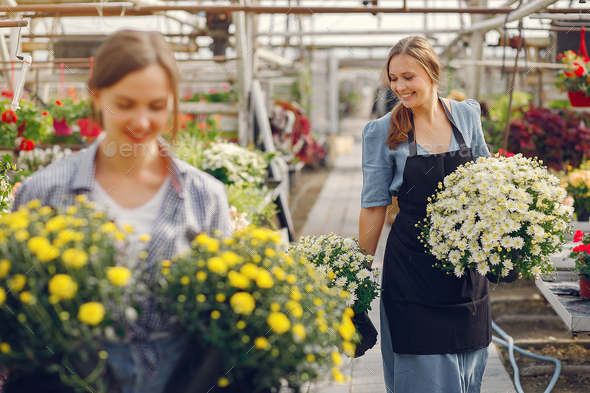 Women working in a greenhouse with a flowerpoots
