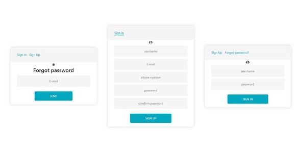 Login Form