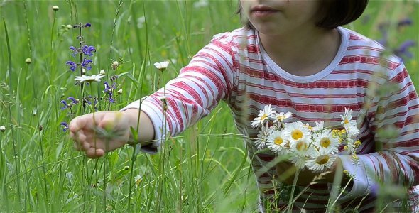 Girl In Flower Field 2