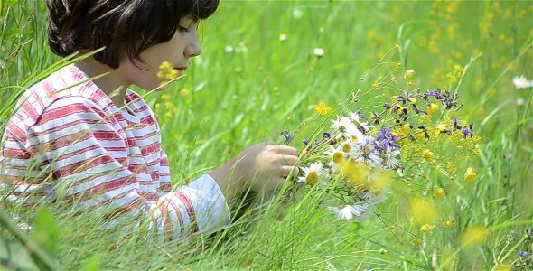 Arranging Flowers Field 1