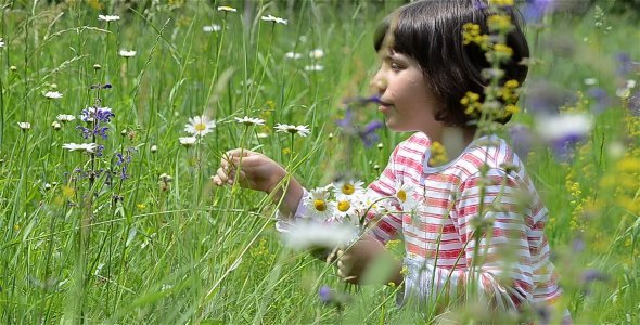 Girl In Flower Field 1