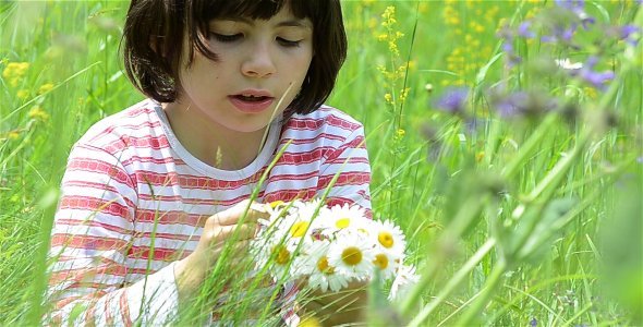 Girl Playing With Daisy 2