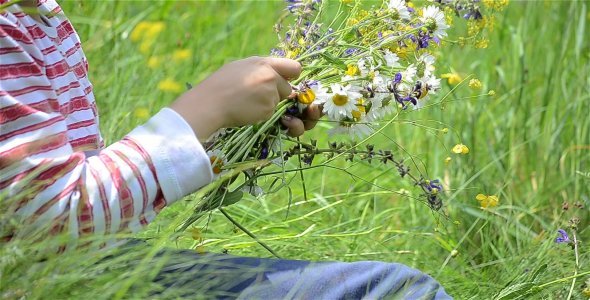 Arranging Flowers Field 2