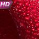 Red Rose Petals In Dew Drops - VideoHive Item for Sale
