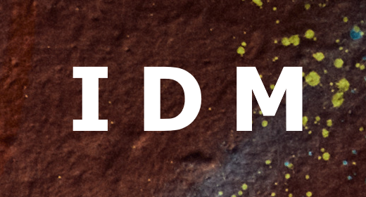IDM | Electronic