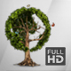 Earth Globe Tree (Full HD) - VideoHive Item for Sale