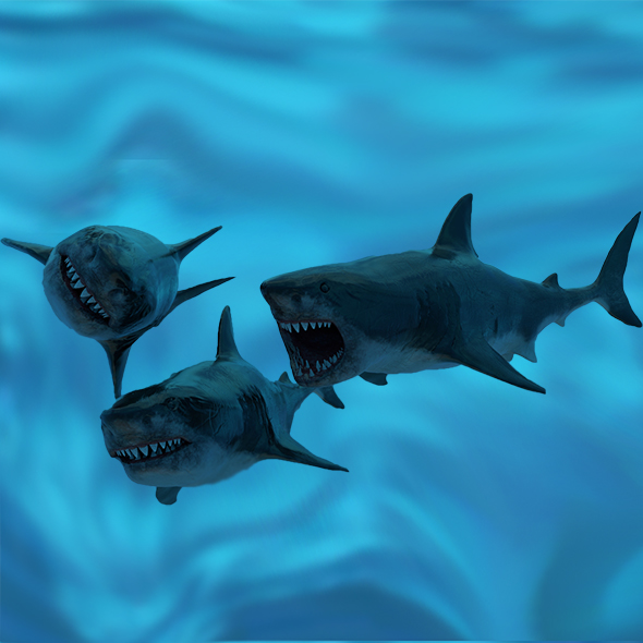 Great White Shark - 3Docean 25914778