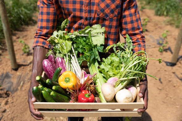 Organic produce - Stock Photo - Images