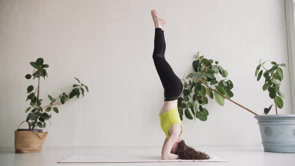 A Yoga Coach Does an Exercise. Standing on His Hands and Head, Stretching His Legs Up alt