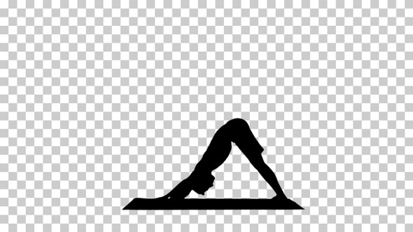 Silhouette Profile of muscular handsome young man working alt