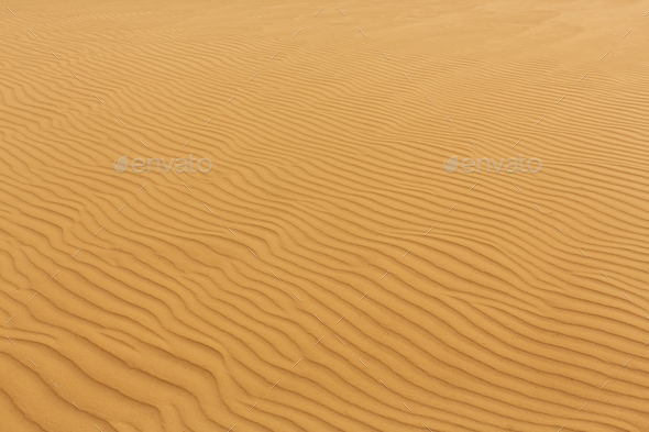 Waves of Sand Texture, Dunes of the Desert