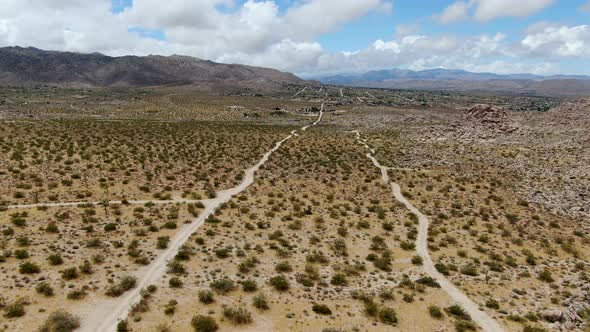 Aerial View of Endless Desert Straight Dusty Asphalt Road in Joshua Tree Park. USA alt