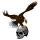 Eagle and Skull Vector Illustration Design Art