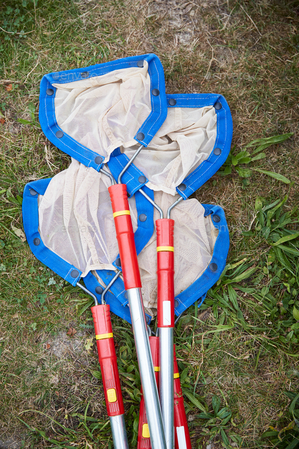 Fishing Nets For Exploring Pond Life At Childrens Outdoor Activity