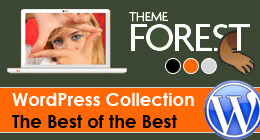 WP Collection - 100 of the Best!