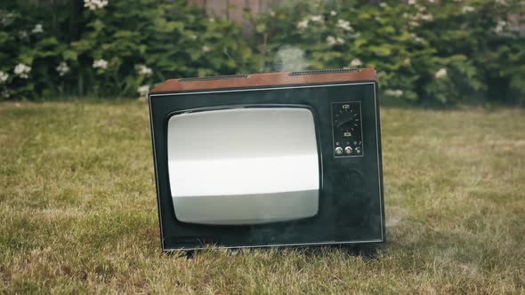 Retro TV Stands on Grass alt