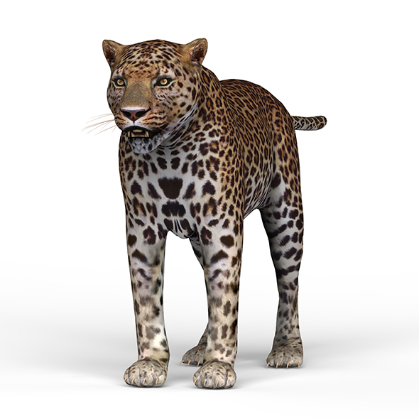 Jaguar - 3Docean 25967592