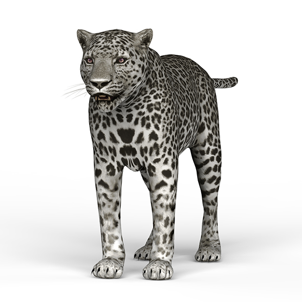 Snow Jaguar - 3Docean 25967593