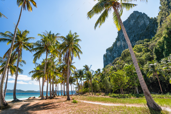 El Nido, Palawan, Philippines. Palm trees on tropical beach with rock cliffs in background. Island - Stock Photo - Images