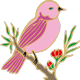 Bird Bird