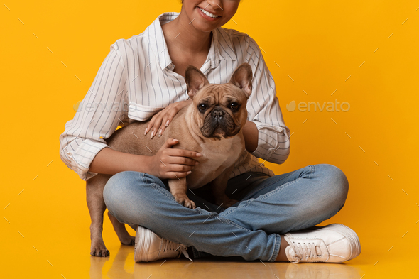 Cute French Bulldog Dog Puppy Posing With Owner, Unrecognizable Black Woman